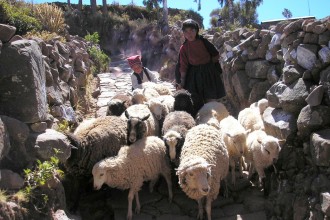 Dicas Peru e Bolívia: roteiro por titicaca e as aldeias que pararam no tempo