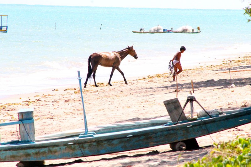 Praia do Patacho: uma das mais lindas da Rota Ecológica de Alagoas