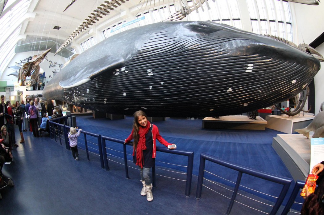 Museus em Londres com crianças