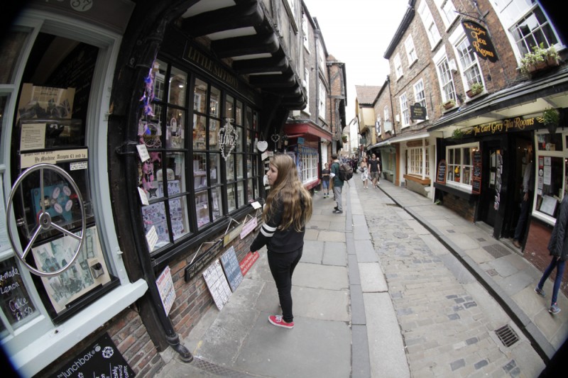 the shambles dicas de york com família roteiros no reino unido