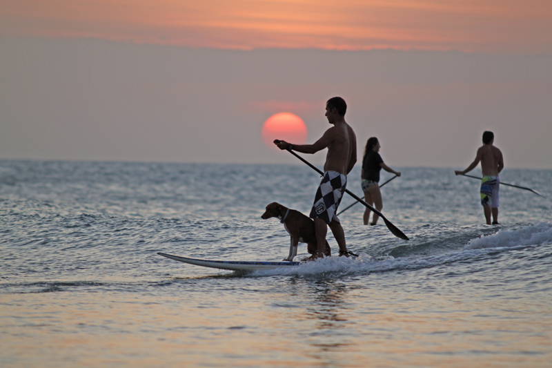 O quer fazer em jeri: SUP também é bacana quando o vento diminui O quer fazer em jeri: SUP também é bacana quando o vento diminui