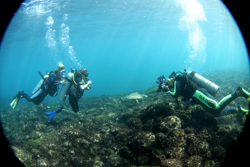 Nosos mergulho de batismo com o pessoal do Noronha Divers Nosos mergulho de batismo com o pessoal do Noronha Divers
