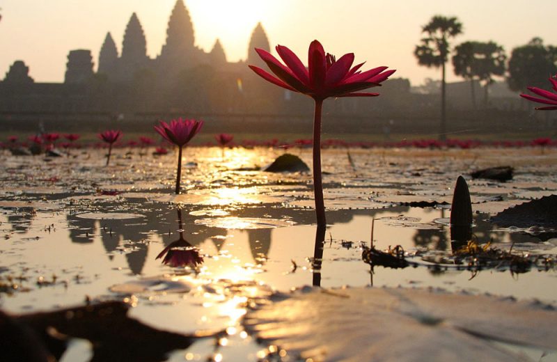 Não deixe de ver o sol nascer em Angkor