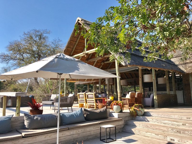 safari na áfrica: A estrutura super sofisticada no Thornybush Game Lodge