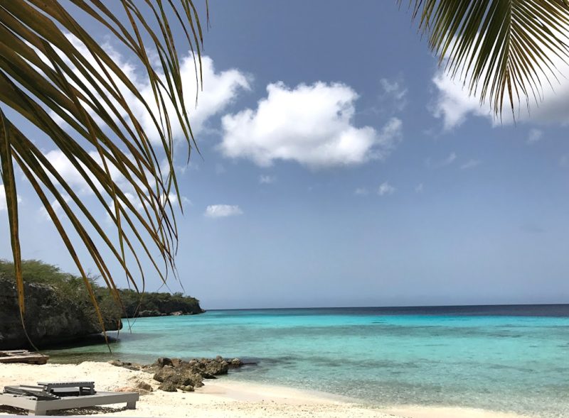 O mar azul e os cliffs que emolduram Porto Mari, em Curaçao porto mari praias mais lindas de curacao