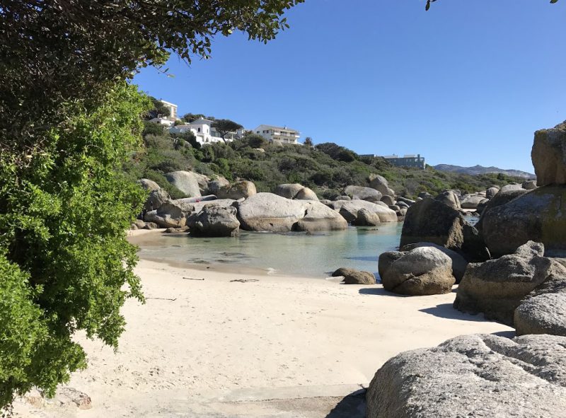 boulders beach: onde ver pinguins na cidade do cabo