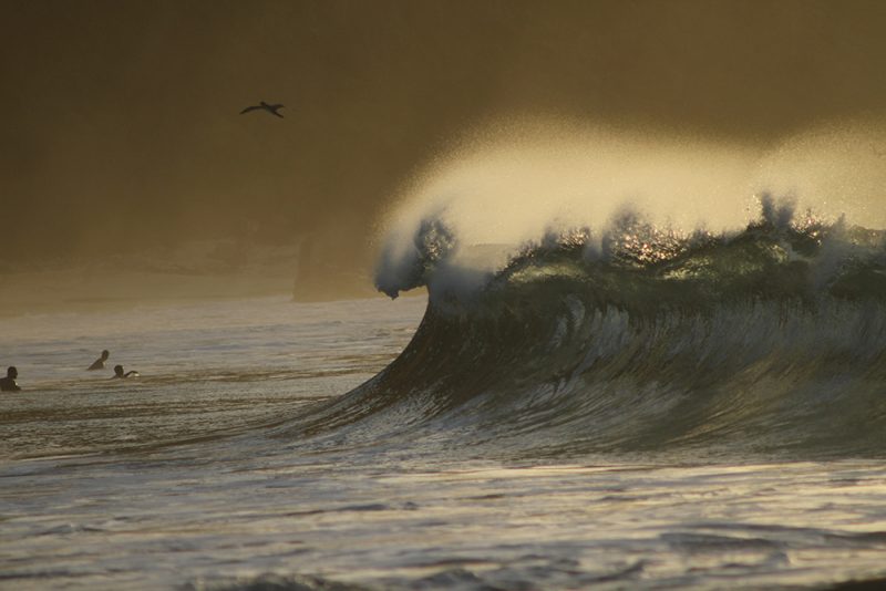 Roteiro Fernando de Noronha: swell começa em outubro trazendo ondas