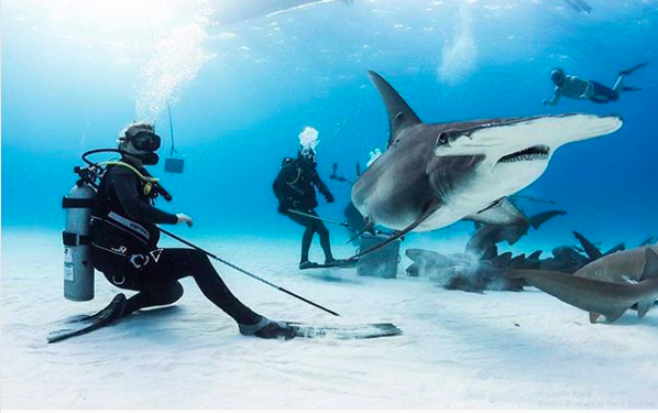 10 Instagrams para seguir e viajar ainda mais