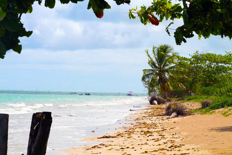 Tatuamunha Alagoas: a tranquilidade da praia.