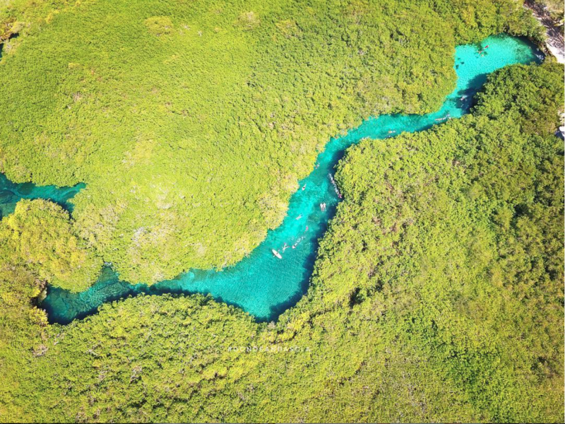 Riviera Maya e Isla Mujeres : cenotes, praias e xamãs