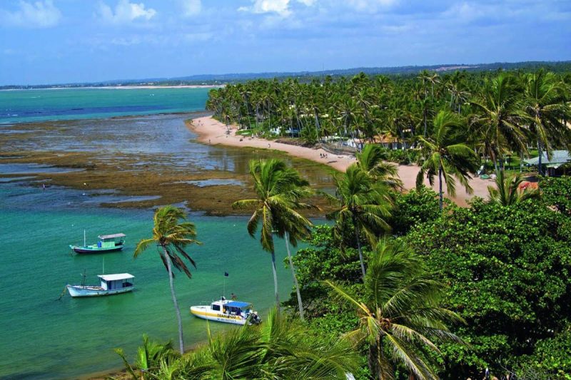 Onde ir nas férias de janeiro: cenário linda da Praia do Forte.