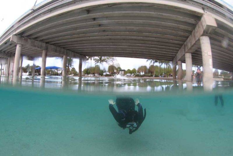 A cor e visibilidade do mergulhe em Blue Heron Bridge, em West Palm Beach.