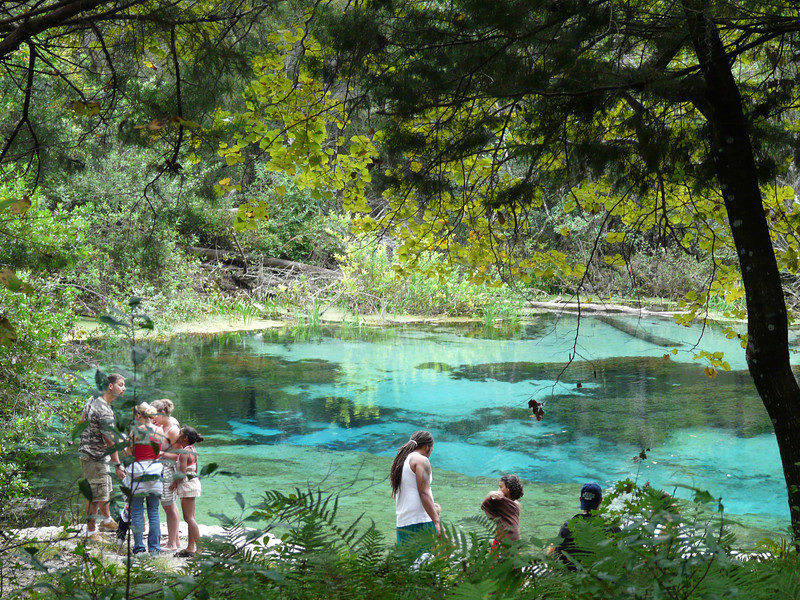 Gainesville: cavernas com lagos, nascentes azuis e muito mais