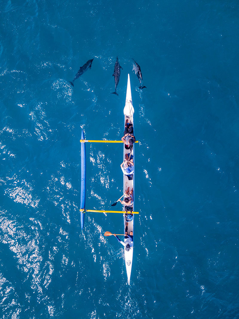 Golfinhos em Noronha: e na canoa havaiana
