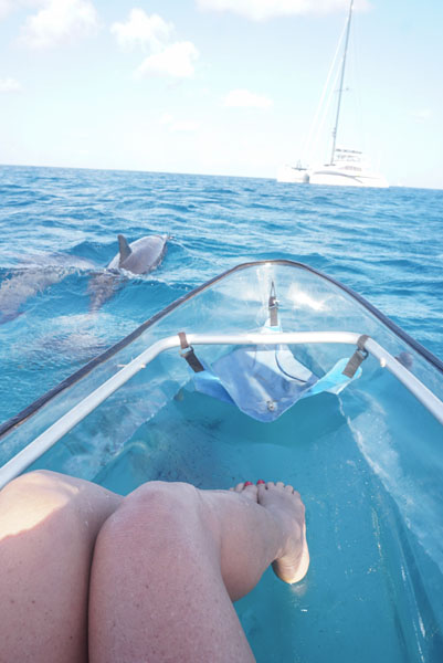 O que fazer em Noronha: caiaque transparente para ver golfinhos