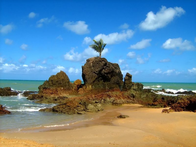 praias mais lindas do nordeste tabatinga praias mais lindas do nordeste tabatinga