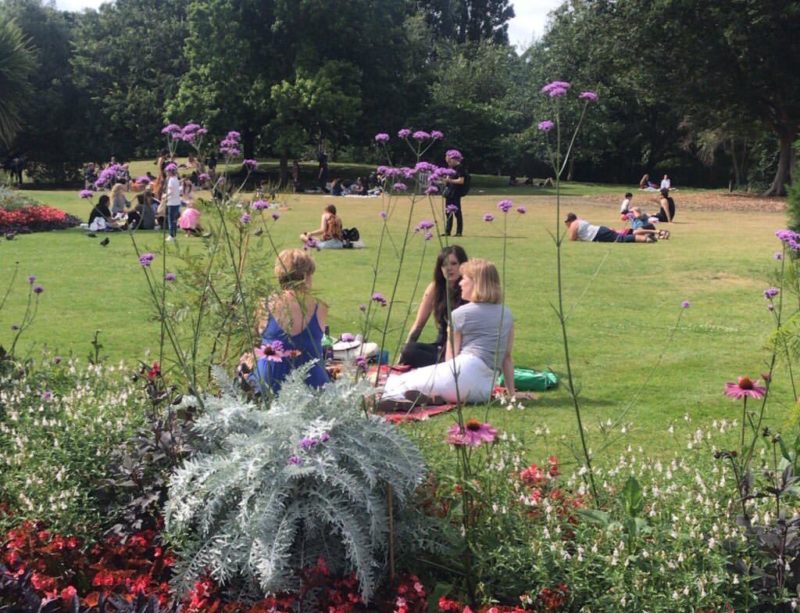 O Hyde Park no verão: toalhas e Picnic nos gramados O Hyde Park no verão: toalhas e Picnic nos gramados