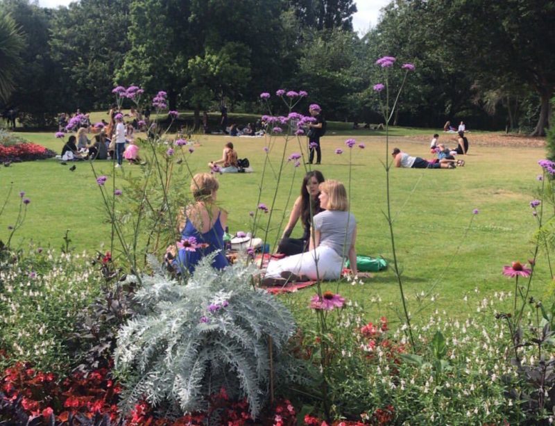 O Hyde Park no verão: toalhas e Picnic nos gramados