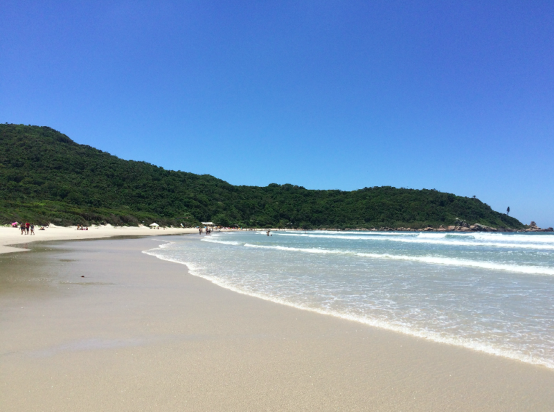 Dicas Floripa: a selvagem Praia dos Naufragados. Dicas Floripa: a selvagem Praia dos Naufragados.