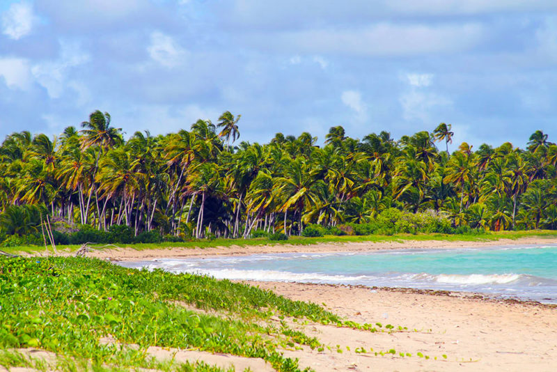 Destinos no Brasil que parecem o Caribe. A Praia do Lage, vista de Tatuamunha: uma sucessão de praias intocadas e de mar turquesa.