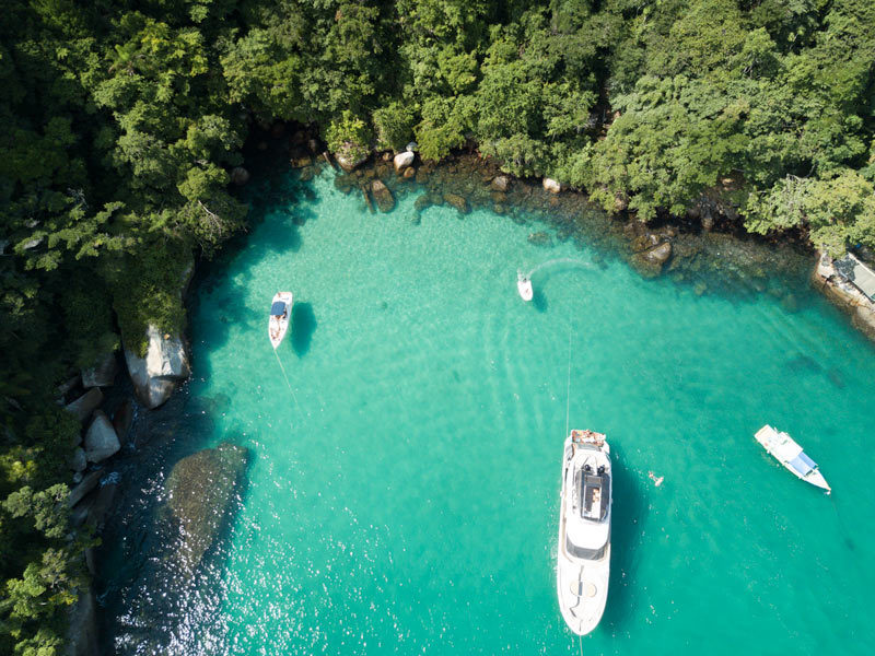 Ilhas de Paraty: a cor esmeralda espetacular da ilha dos Cocos (Foto: Palombeta).