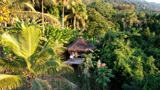 Aibnb ilha Grande: a cabaa Jungle Lodge