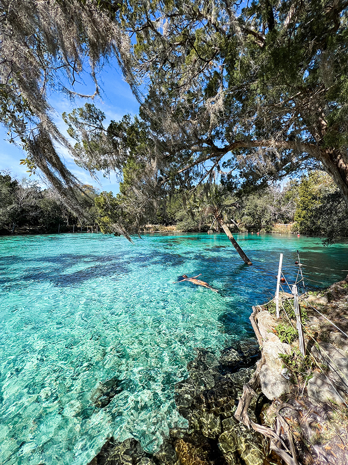 Flórida além de Orlando e Miami: a cor da água de Silver Glen e a beleza da vegetação