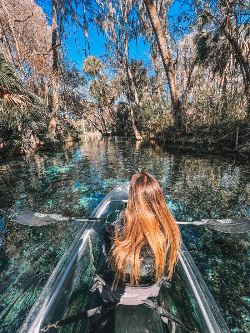 Roteiro da Flórida: a nascente Silver Springs tem a água super cristalina.