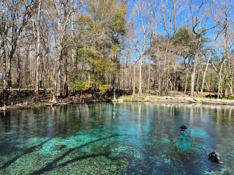 melhores lugares da Flórida: Ginnie Springs, na região central do estado