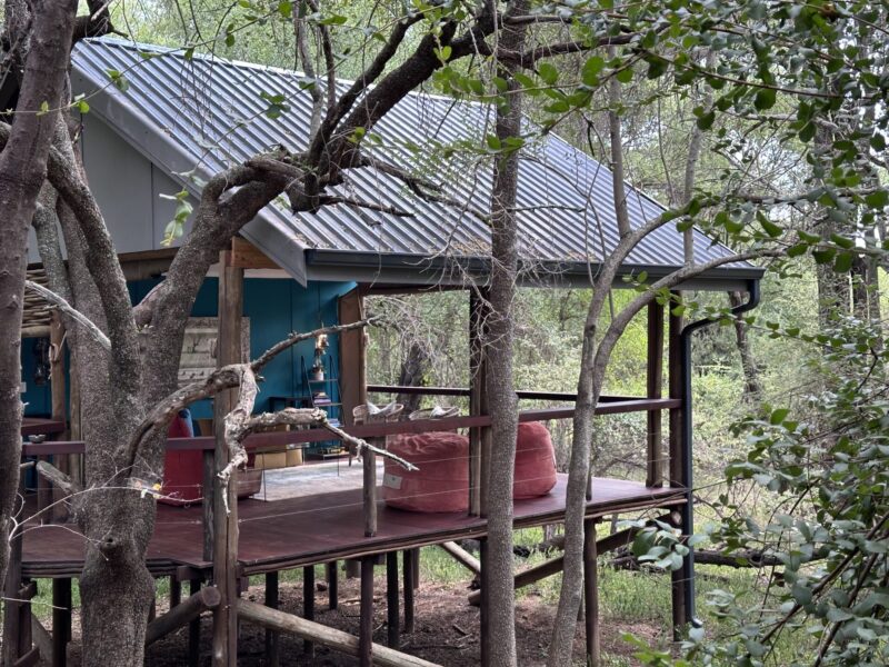 Ambientes do Tree House Lodge