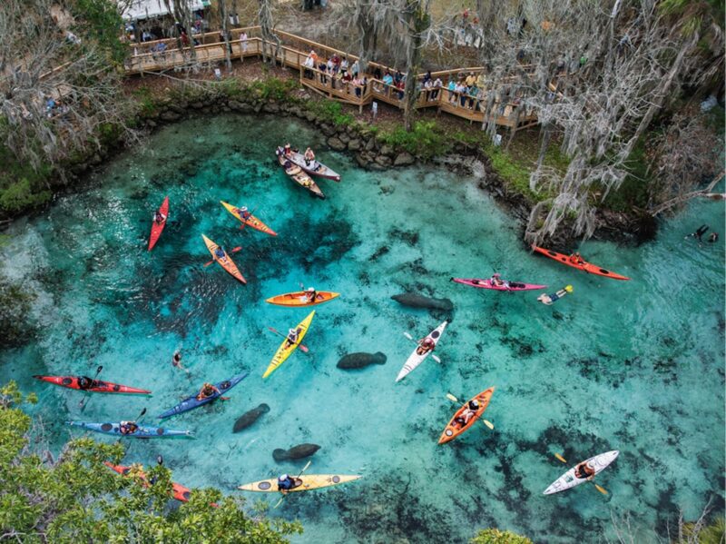O que fazer na Flórida: não perca three sisters springs