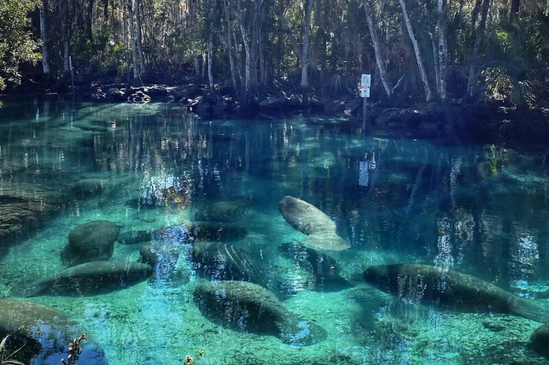 three sisters springs