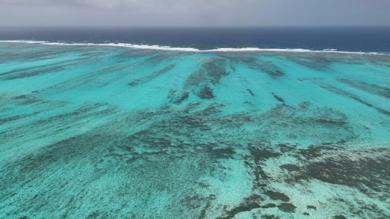 O Aquario visto do alto: barreira de corais garante mar calmo e muita vida marinha