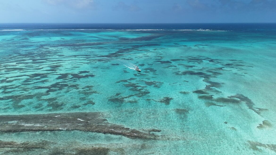 San Andrés e ao corais aquário natural