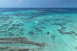 San Andrés e ao corais aquário natural