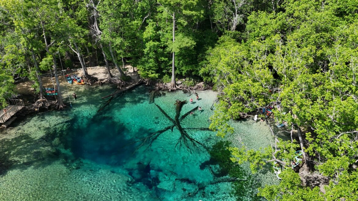 O que fazer em Walton e na Costa Esmeralda: Cypress Springs