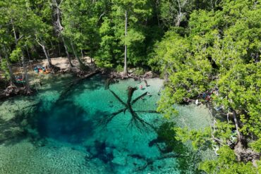 O que fazer em Walton e na Costa Esmeralda: Cypress Springs