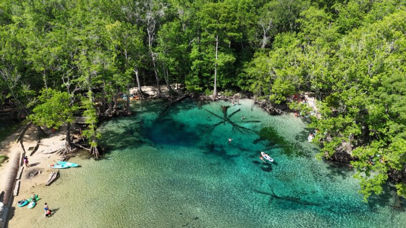 Cypress Springs Florida