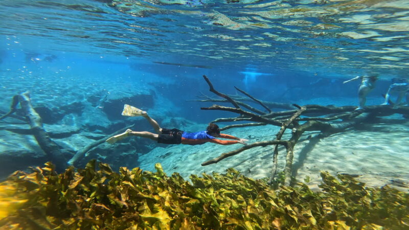 Cypress Springs