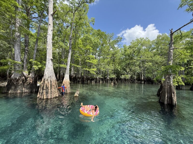 Morrison Springs