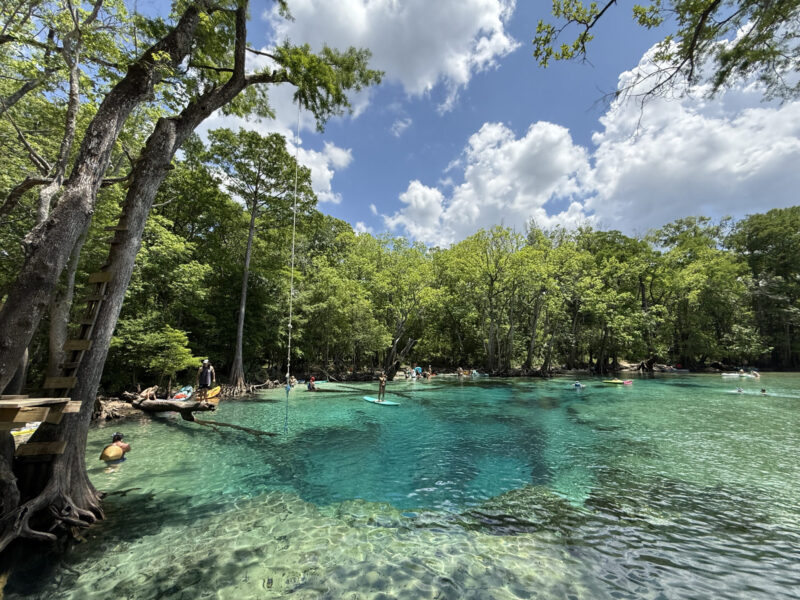 Nascentes da Florida Cypress Springs