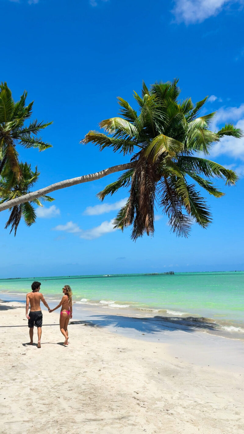 Praias mais lindas de Alagoas: praia do Xaréu